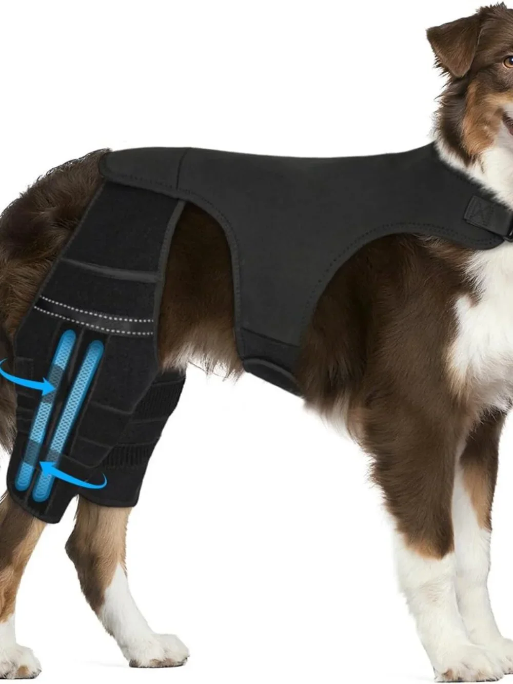 Dog Knee Brace for Torn Acl Hind Leg, 4 Stabilizers